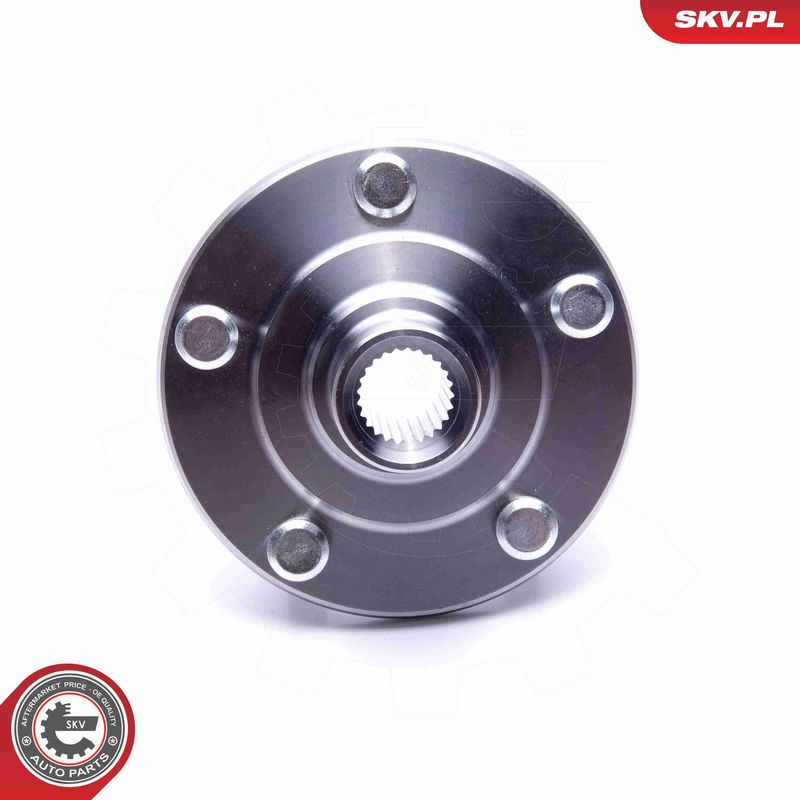 ESEN SKV 29SKV510 Wheel Bearing Kit