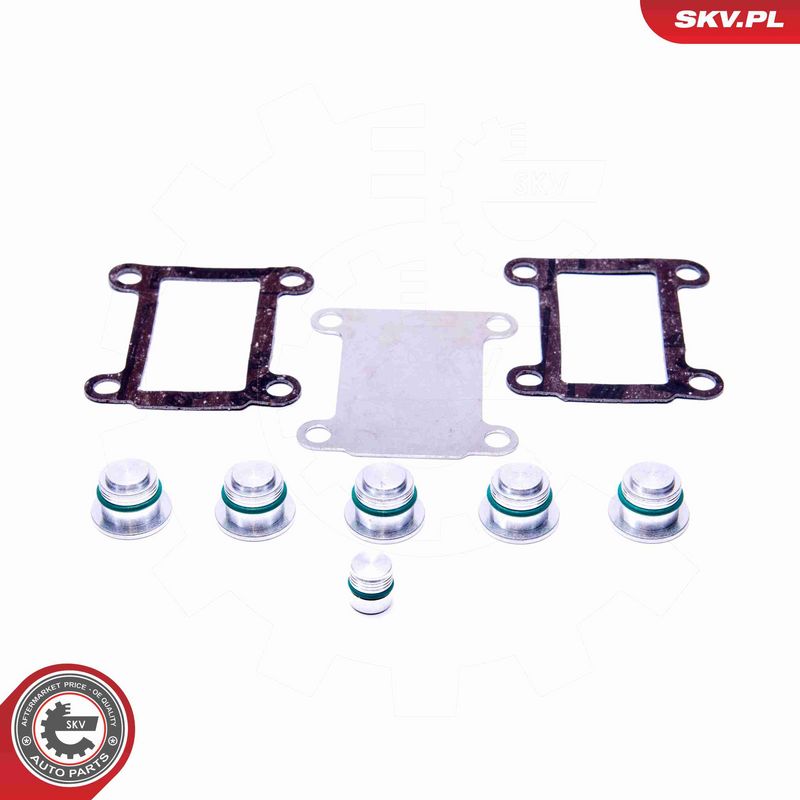 ESEN SKV 49SKV526 Repair Kit, intake manifold module