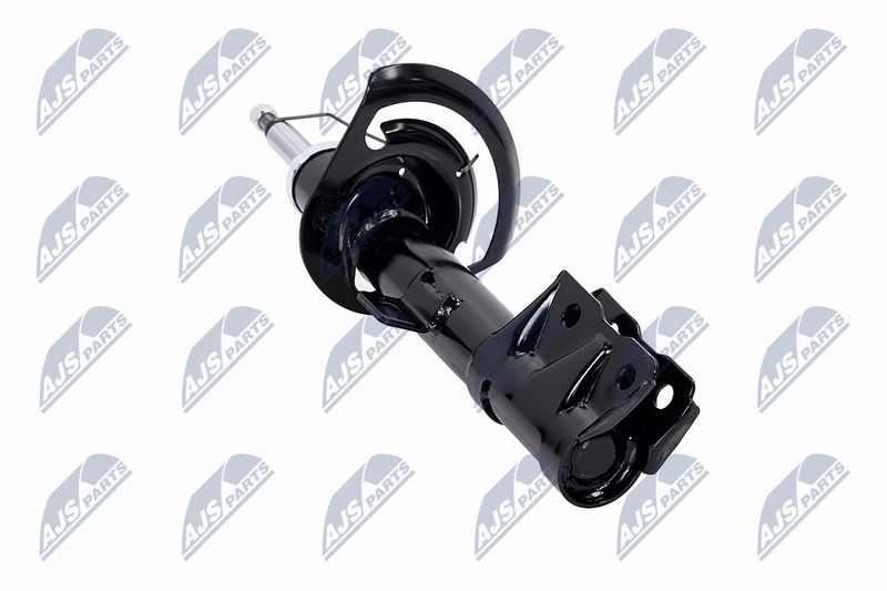 Amort, NTY A-CH-057