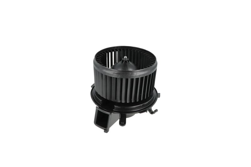 Salongipuhur, NRF 34234