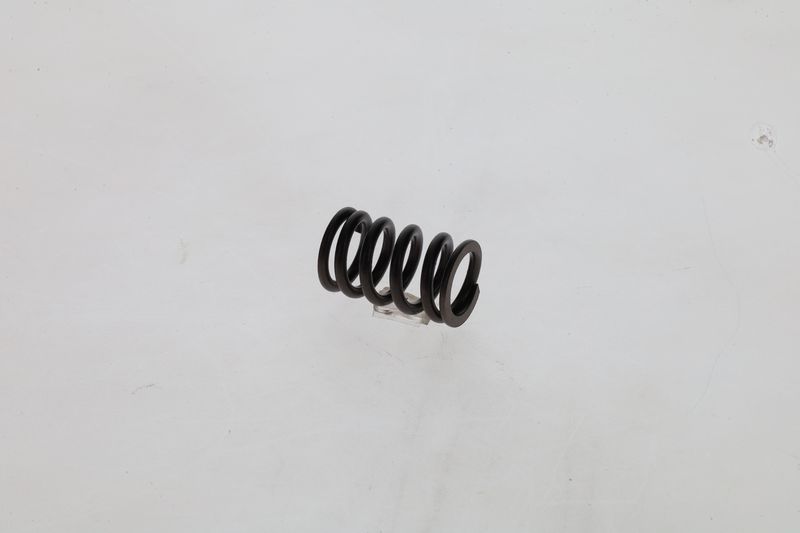 Arc 1 424 619 025 BOSCH