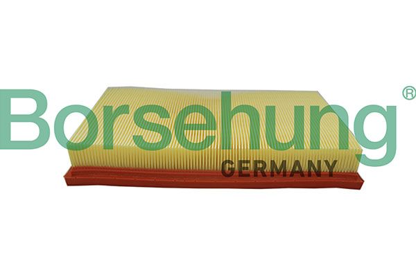 Õhufilter, Borsehung B19095