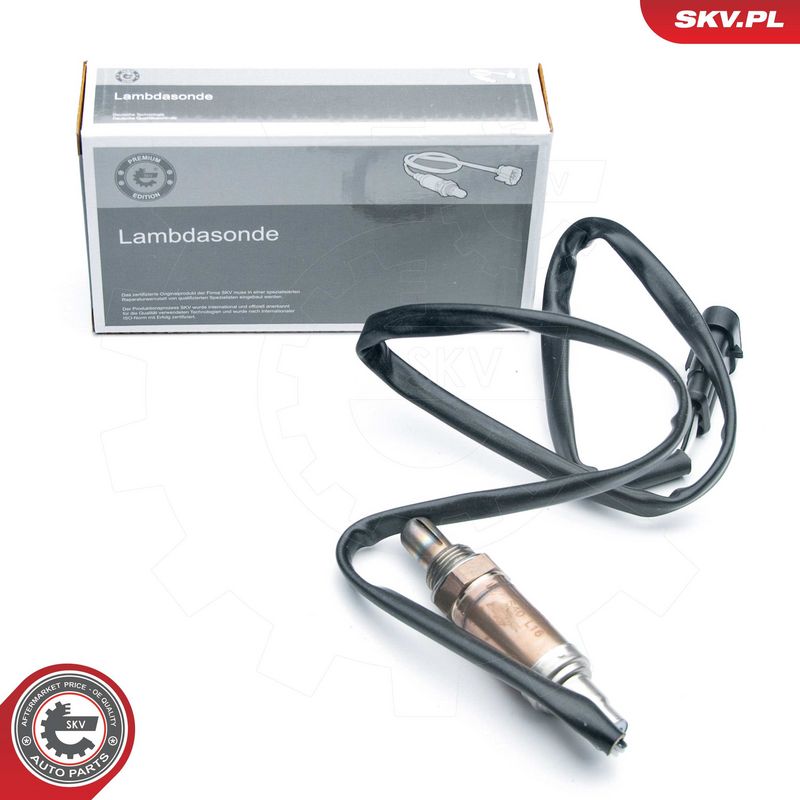 Lambda andur, ESEN SKV 09SKV549