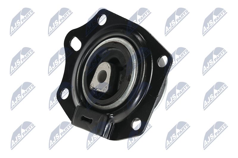 Paigutus, Mootor, NTY ZPS-CH-014