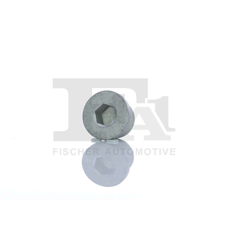 FA1 257.858.001 Screw Plug, oil sump