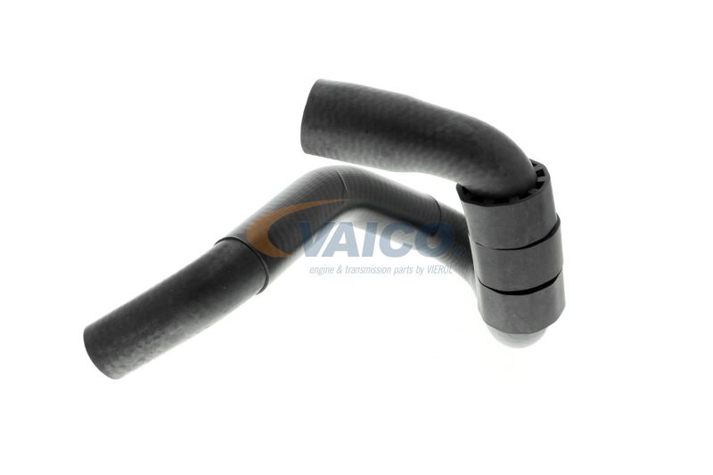 VAICO V10-4664 Talosa Radiator Hose