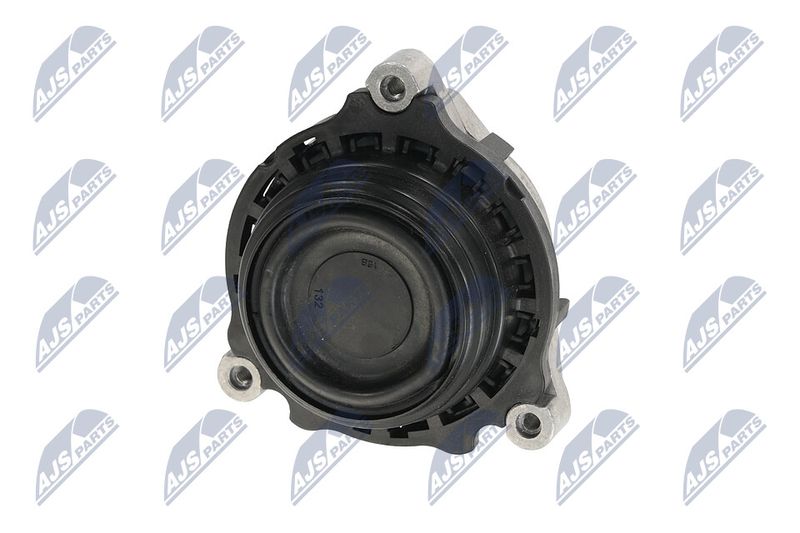 Paigutus, Mootor, NTY ZPS-BM-028