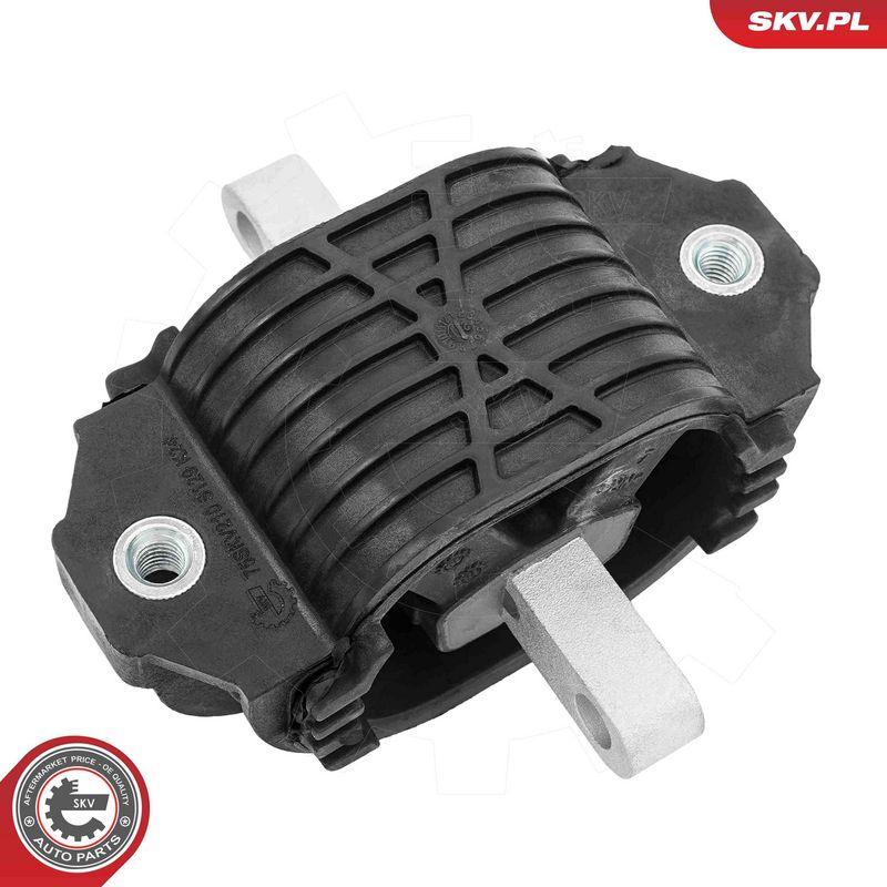 Paigutus, Mootor, ESEN SKV...