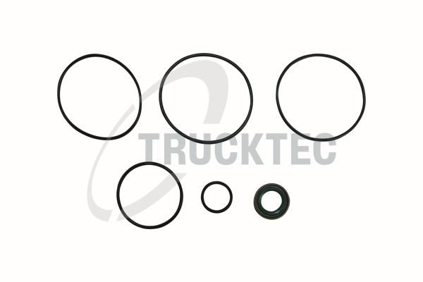 TRUCKTEC AUTOMOTIVE 01.43.017 - Hidraulinio siurblio tarpinių komplektas