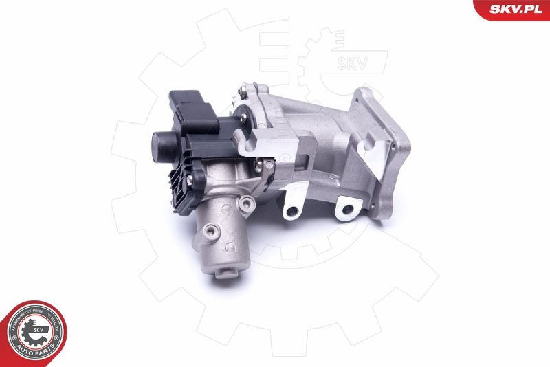 ESEN SKV 14SKV171 EGR Valve