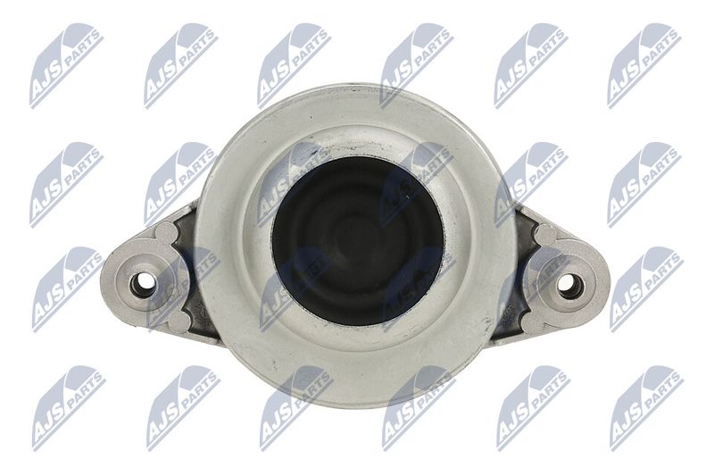 Paigutus, Mootor, NTY ZPS-ME-116