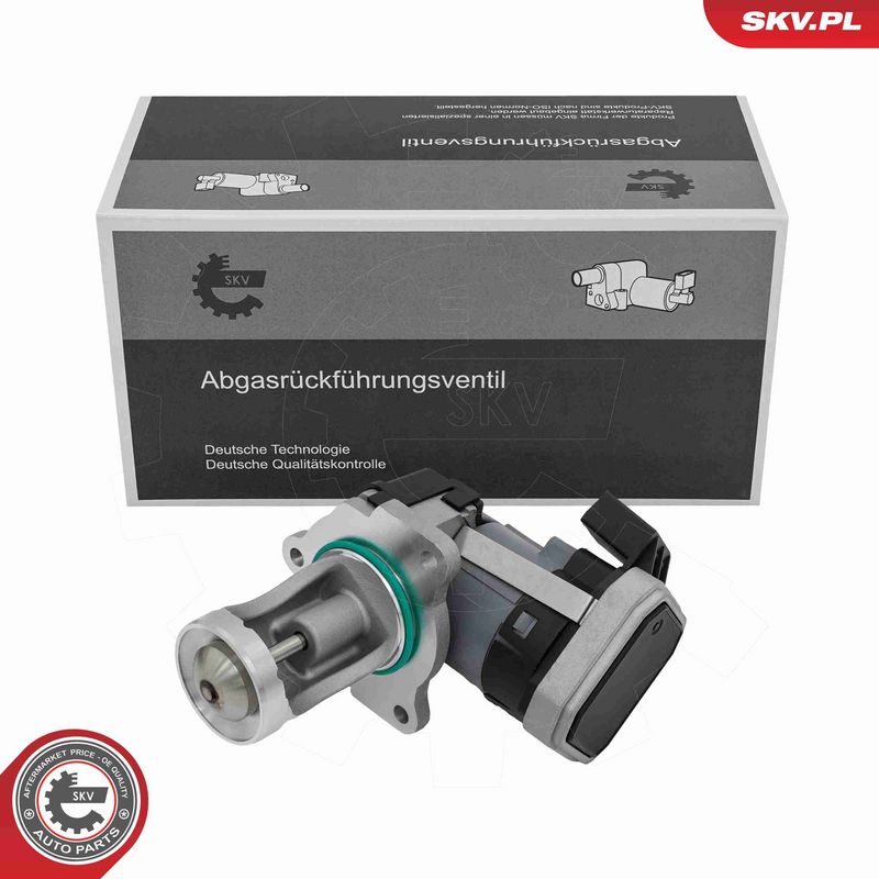 ESEN SKV 14SKV324 EGR Valve