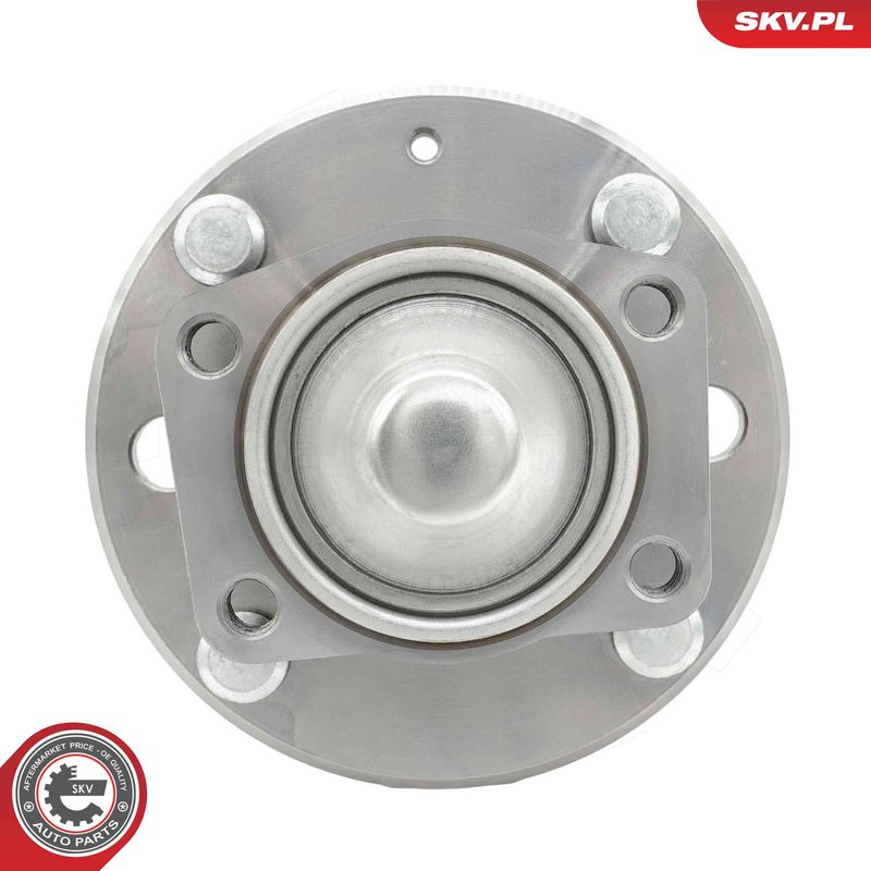 ESEN SKV 29SKV725 Wheel Bearing Kit