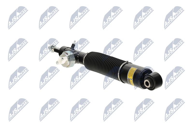 Amort, NTY A-NS-055