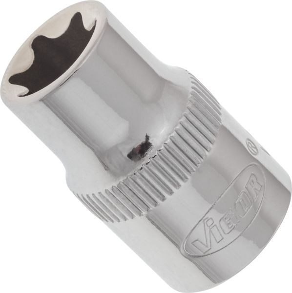 Padrun, VIGOR V2144N