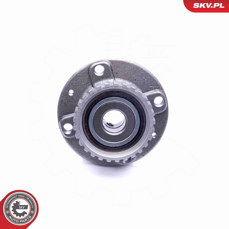 ESEN SKV 29SKV207 Wheel Bearing Kit