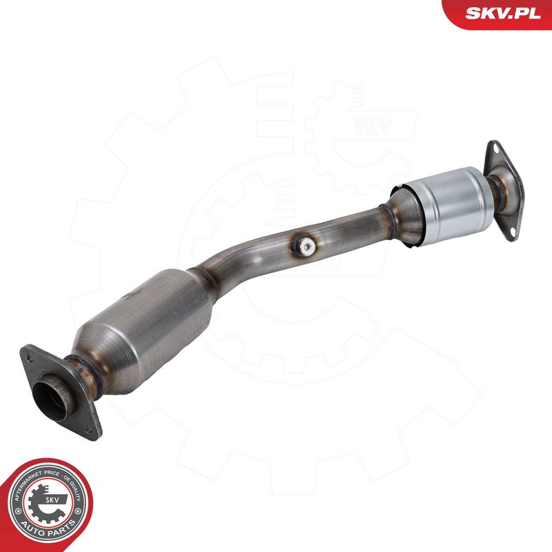 Katalüsaator, ESEN SKV 62SKV171