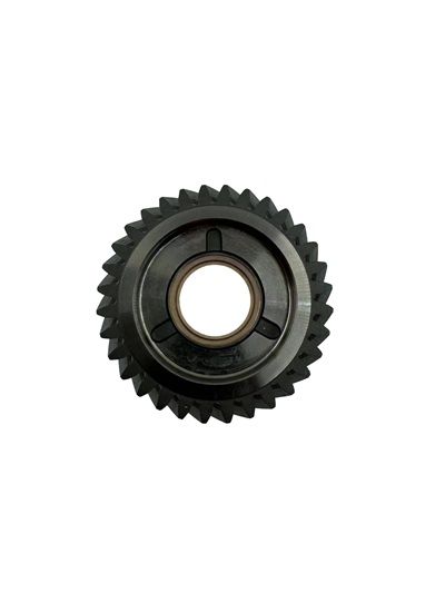 VKM 980015.JPG