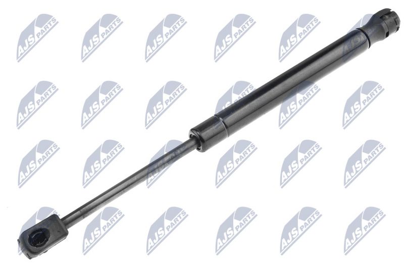 NTY AE-CH-025 Gas Spring, boot/cargo area