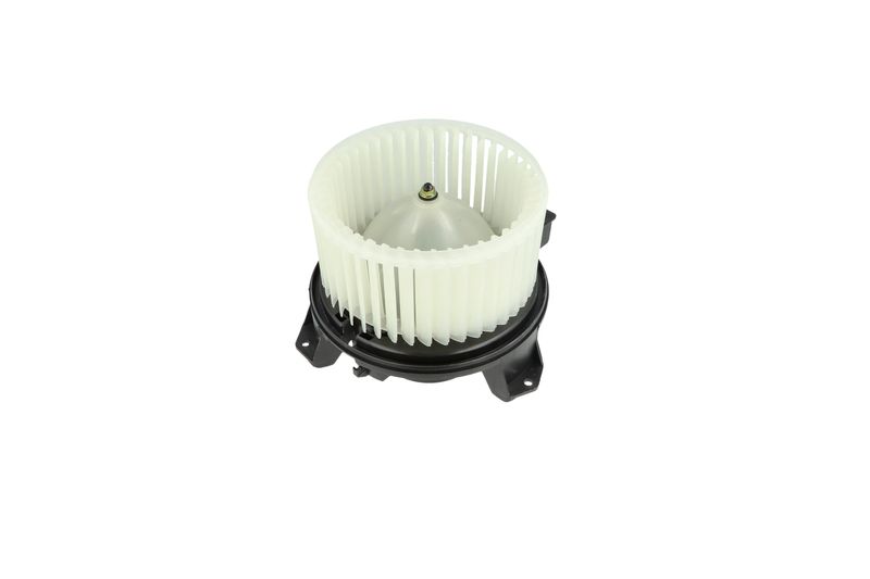 Salongipuhur, NRF 34345