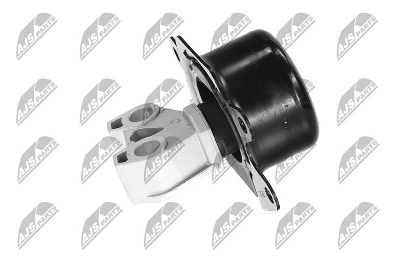 Paigutus, Mootor, NTY ZPS-PL-053