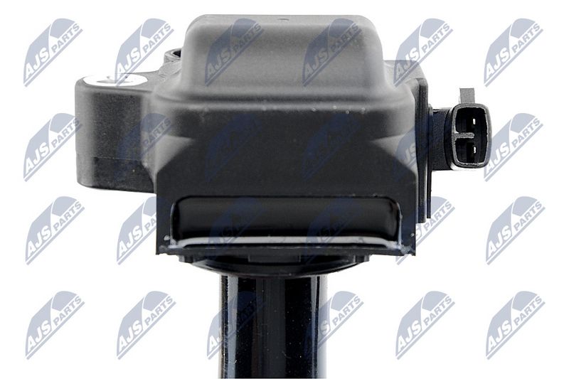 Süütepool, NTY ECZ-TY-019