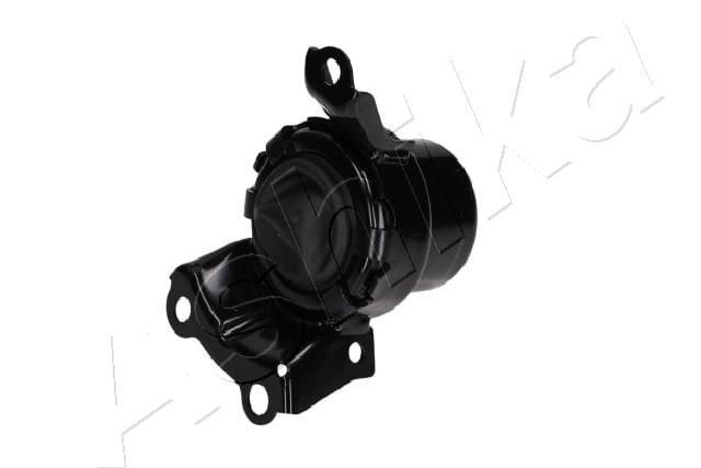 GOM-4280_1.JPG