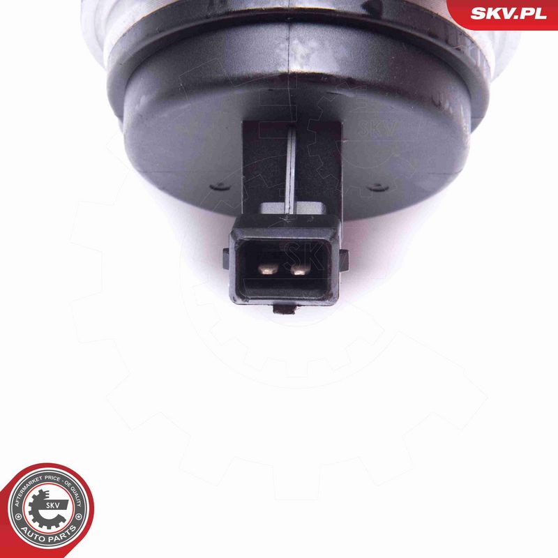 ESEN SKV 29SKV556 Wheel Bearing Kit