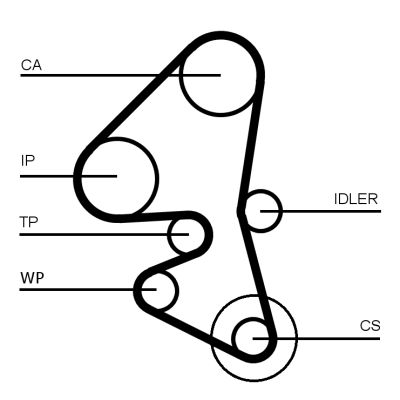 CONTINENTAL CTAM CT1203WP1 Water Pump & Timing Belt Kit