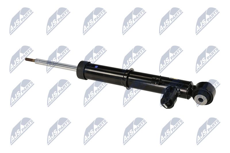 Amort, NTY A-LR-034