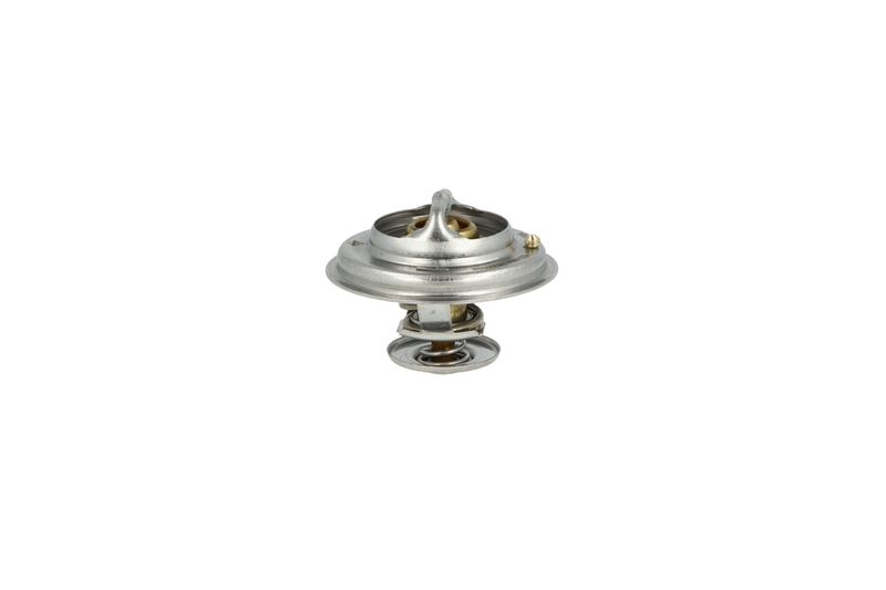 termostat IVECO Ecar/Zeta 725123