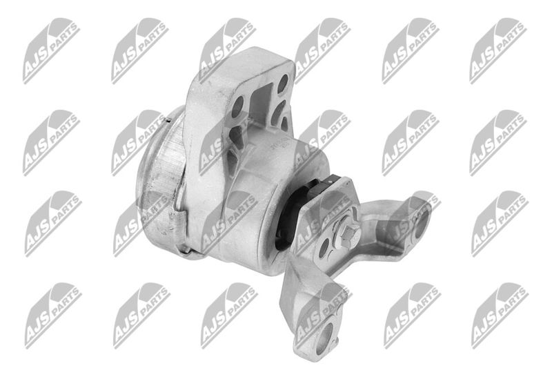 Paigutus, Mootor, NTY ZPS-FR-033