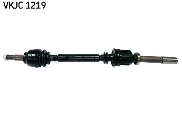 VKJC 1219.JPG