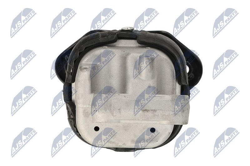 Paigutus, Mootor, NTY ZPS-CH-116