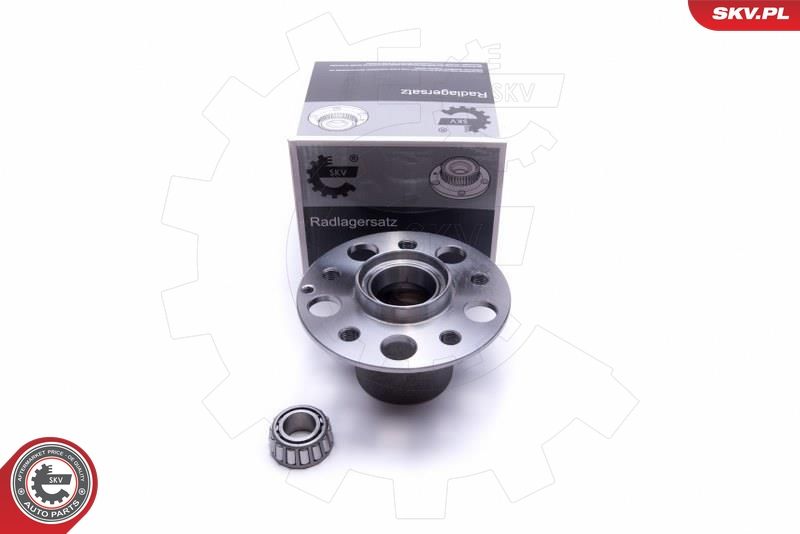 ESEN SKV 29SKV423 Wheel Bearing Kit