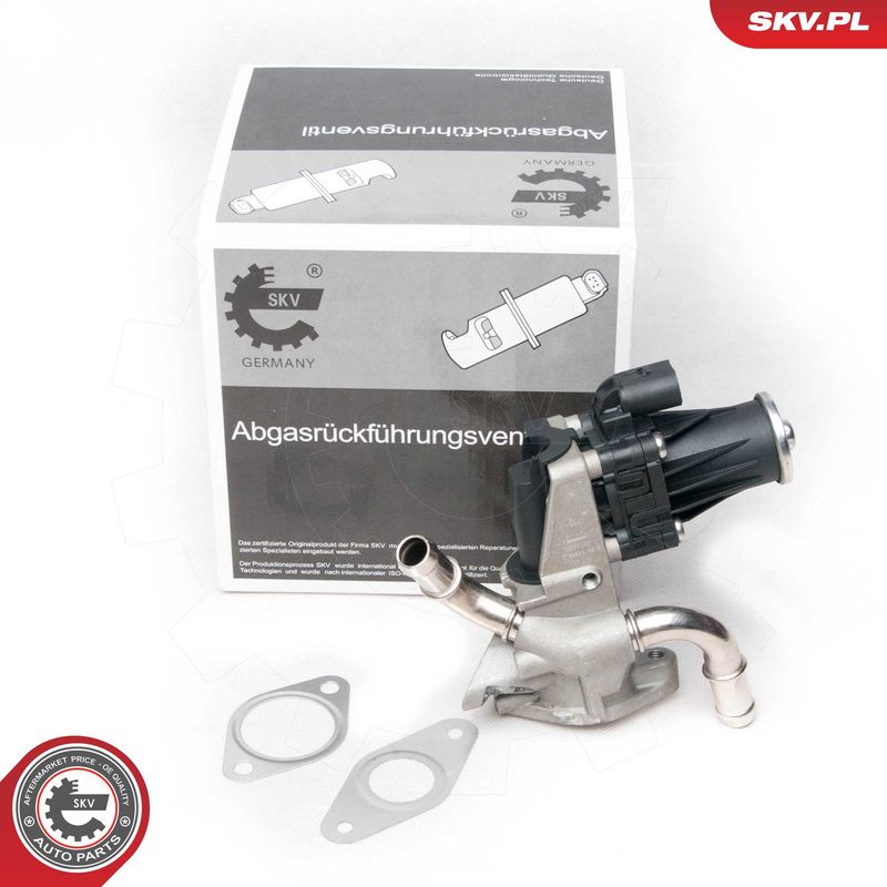EGR-klapp, ESEN SKV 14SKV101