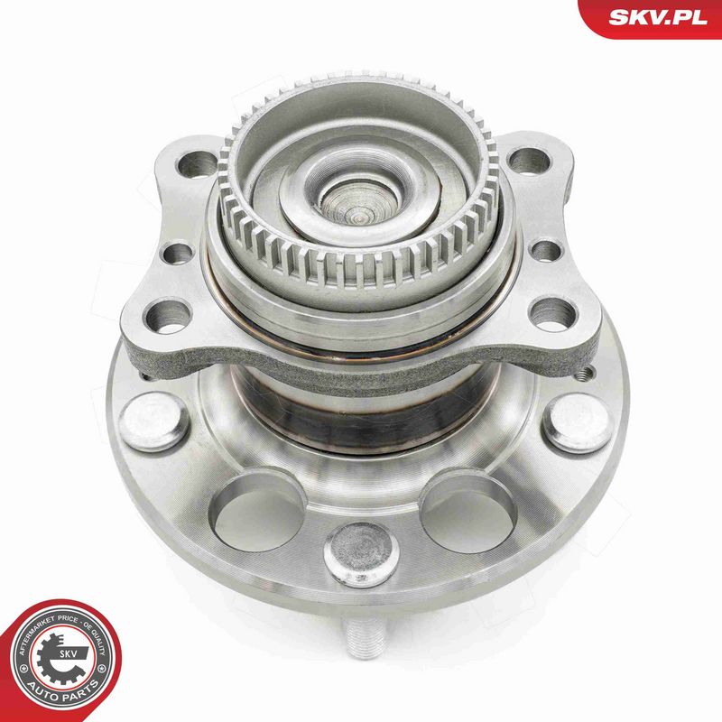 ESEN SKV 29SKV669 Wheel Bearing Kit