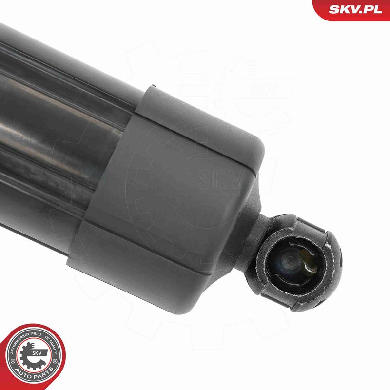 ESEN SKV 52SKV171 Electric Motor, tailgate
