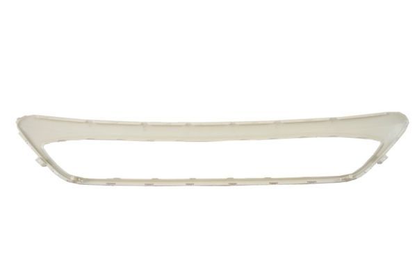 BLIC 6502-07-2579982P Trim/Protection Strip, radiator grille