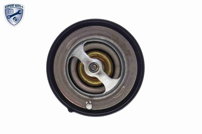 ACKOJA A52-99-0010 Thermostat, coolant