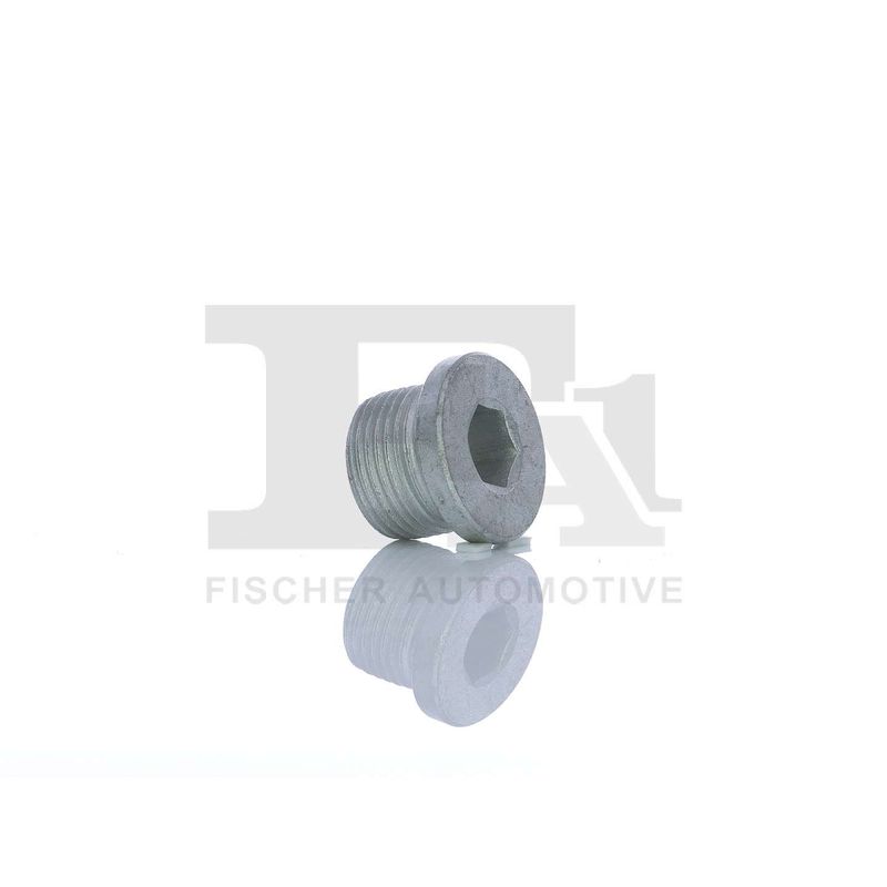 FA1 257.858.001 Screw Plug, oil sump