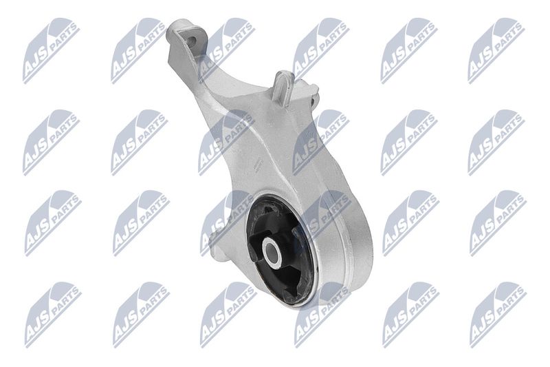 Paigutus, Mootor, NTY ZPS-CH-149