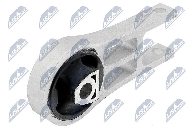 Paigutus, Mootor, NTY ZPS-CH-100