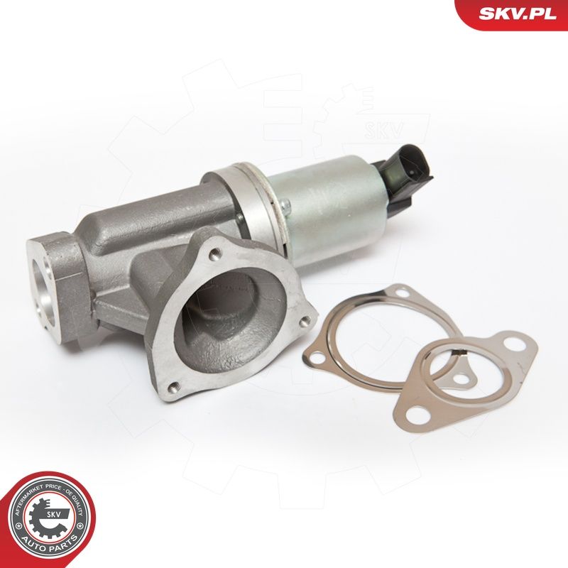 EGR-klapp, ESEN SKV 14SKV054
