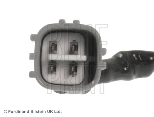 ADT37074_2.JPG