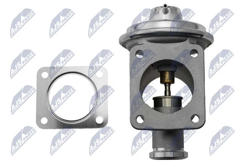 EGR-BM-007_4-WM.JPG