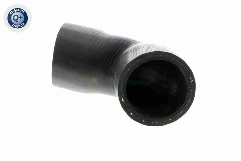 VAICO V30-2916 Radiator Hose