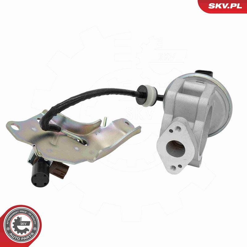 ESEN SKV 14SKV315 EGR Valve