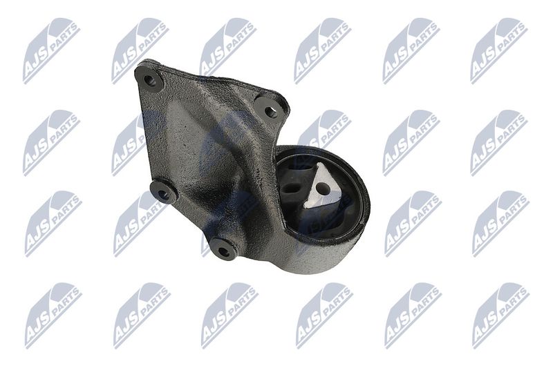 Paigutus, Mootor, NTY ZPS-CH-004