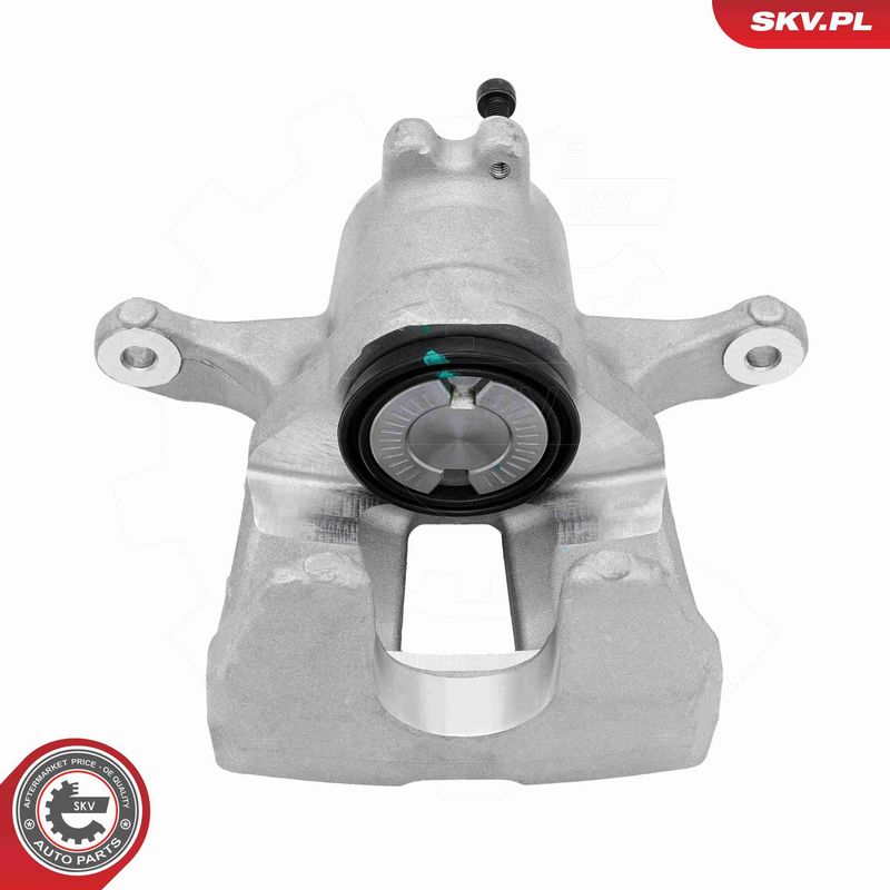 ESEN SKV 89SKV494 Brake Caliper